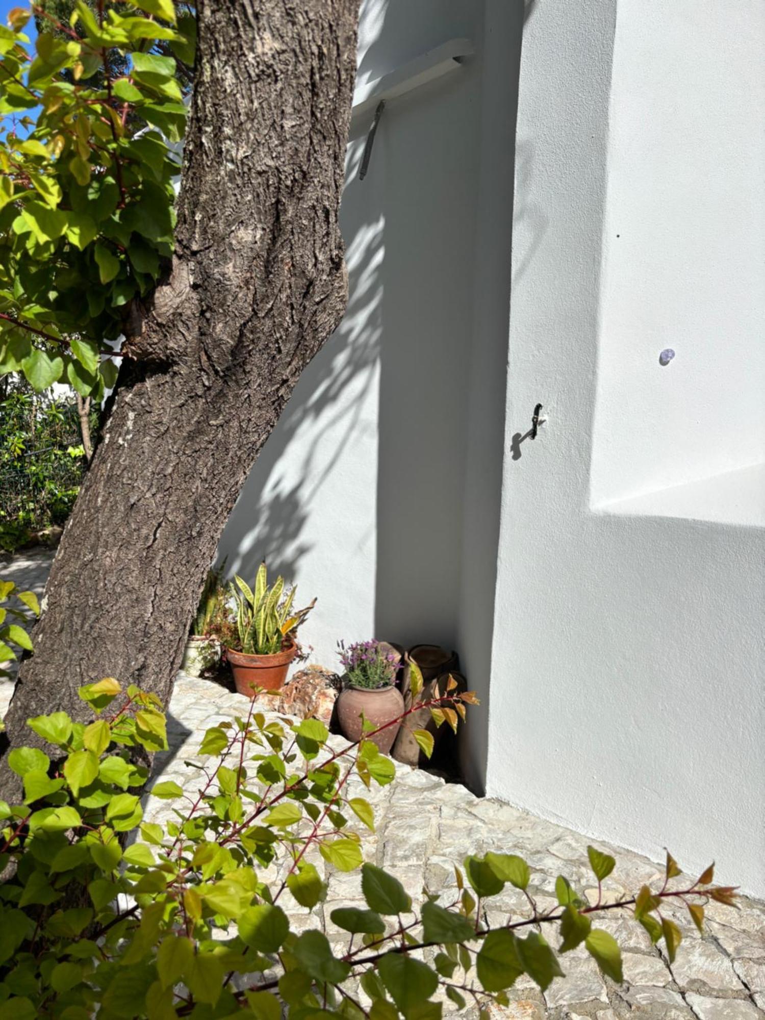 Namibe Na Quinta Da Balaia Willa
